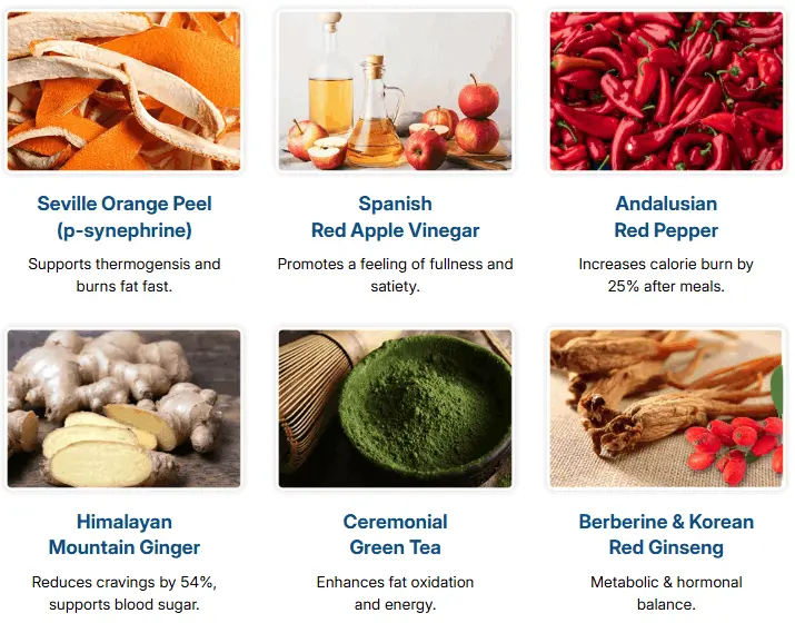 CitrusBurn Ingredients